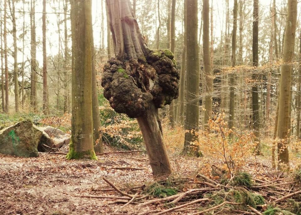 Le Chant De L Aisne Érezée 外观 照片
